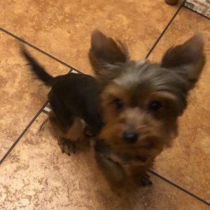 Meet your Posher, Maria